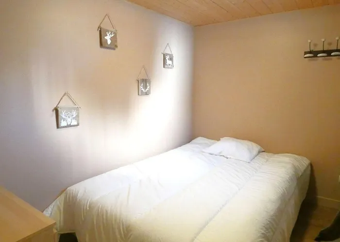 T4 Pour 8 Pers Avec Terrasse, Parking Et Casier A - St Lary Soulan - Fr-1-457-337 *